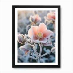 Frosty Botanical Christmas Rose 2 Art Print -Xmas Gifts Hub m2Fgen2Fart print std portrait framed black2F33cd46f9 c2fb 4fd2 b2b4 ac6f81c91ffc