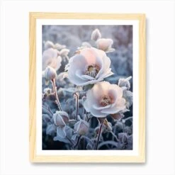 Frosty Botanical Christmas Rose 4 Art Print -Xmas Gifts Hub m2Fgen2Fart print std portrait framed oak2F52854e82 a646 49aa a690 eba62fa07c64