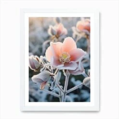 Frosty Botanical Christmas Rose 2 Art Print -Xmas Gifts Hub m2Fgen2Fart print std portrait framed white2F07407efb 807c 4631 b84f fd859a11a085
