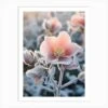 Frosty Botanical Christmas Rose 2 Art Print 1 Frosty Botanical Christmas Rose 2 Art Print -Xmas Gifts Hub m2Fgen2Fart print std portrait p12F1c459ba3 02cb 4f50 8257 b23ffe49feae