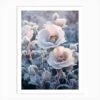 Frosty Botanical Christmas Rose 4 Art Print